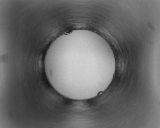 X0000116840516200912312057