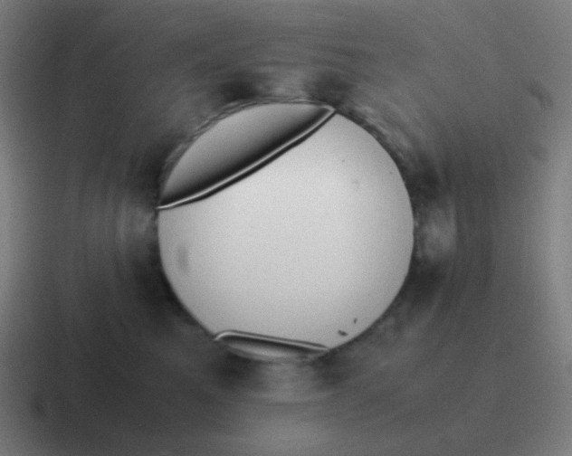 X0000116840521200912312057