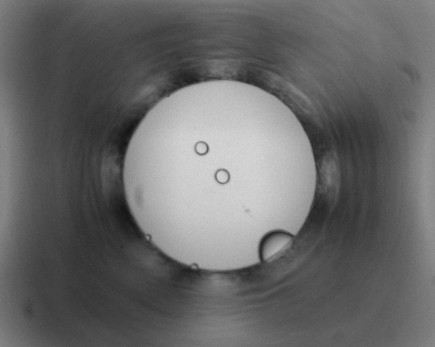 X0000116840522200912312057