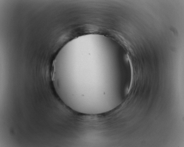 X0000116840524200912312057