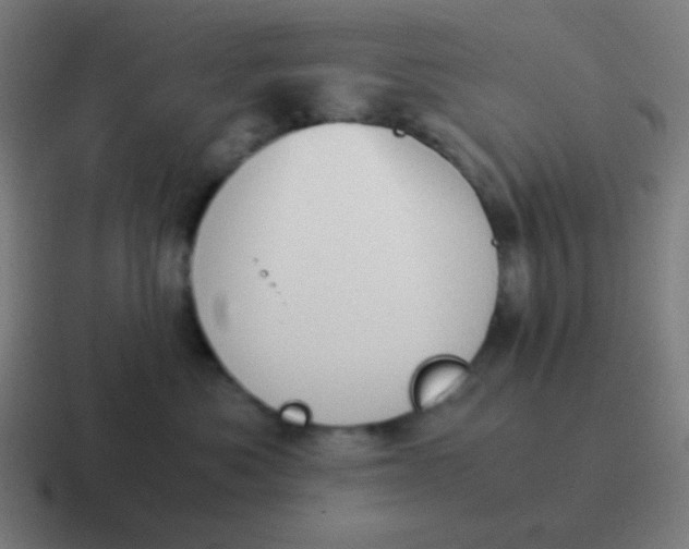 X0000116840525200912312057