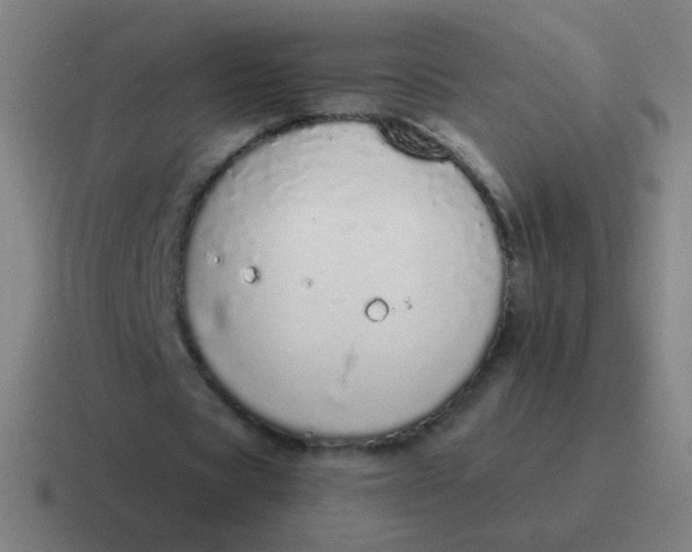 X0000116840529200912312056