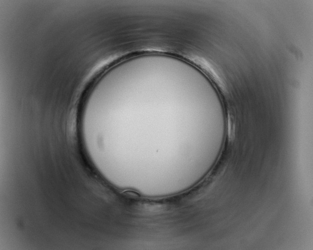 X0000116840531200912312056