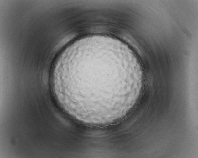 X0000116840533200912312056