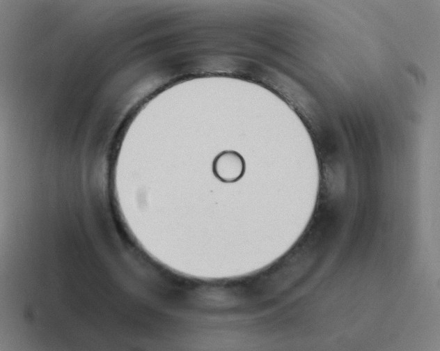 X0000116840534200912312056