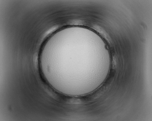 X0000116840535200912312056