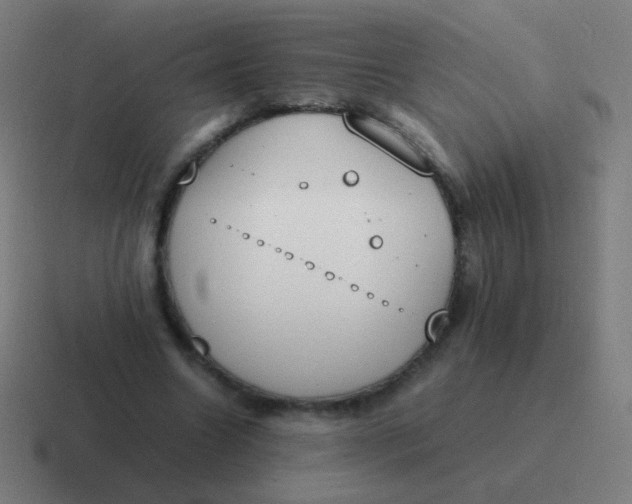 X0000116840538200912312056