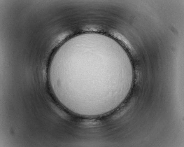 X0000116840541200912312057