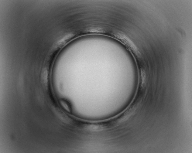 X0000116840542200912312057