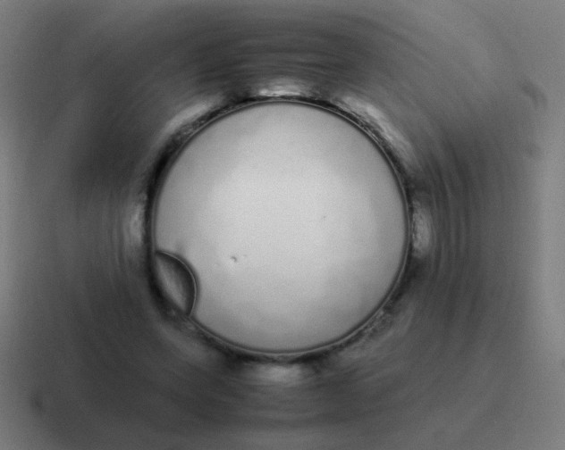 X0000116840543200912312057