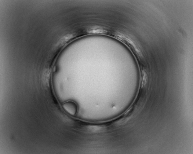 X0000116840545200912312057