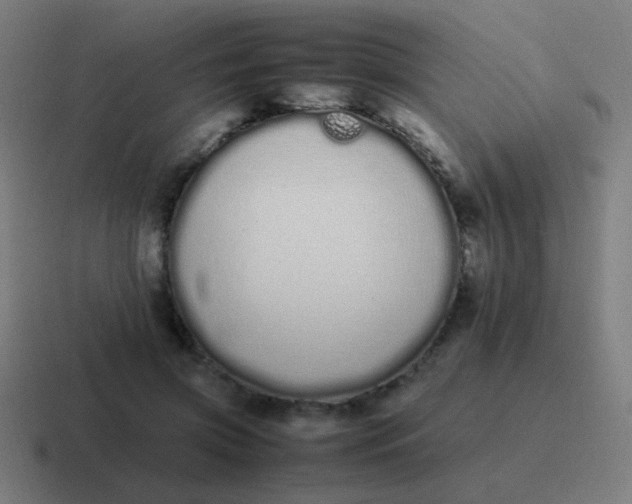 X0000116840549200912312057