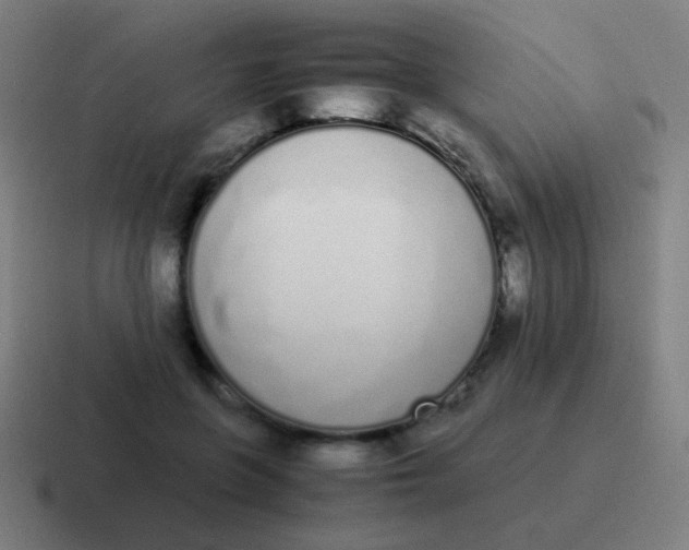 X0000116840551200912312057