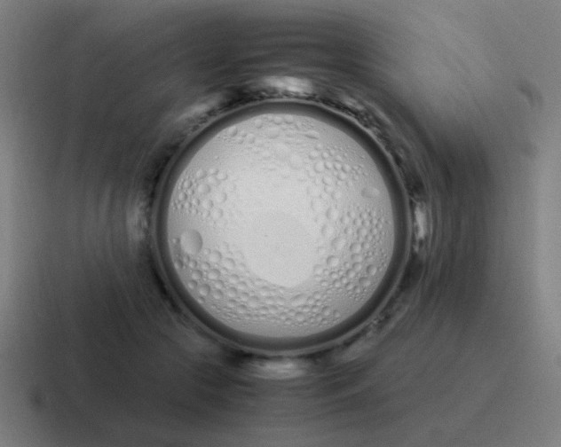 X0000116840553200912312057