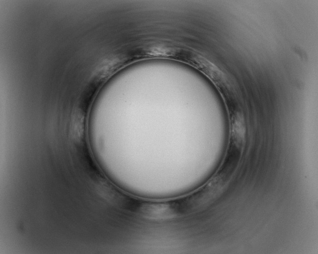 X0000116840554200912312057