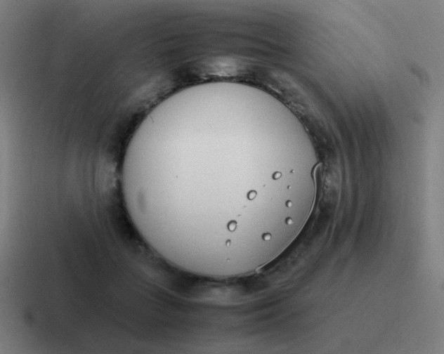 X0000116840555200912312057