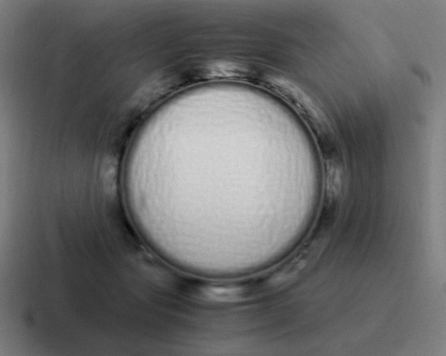 X0000116840557200912312057