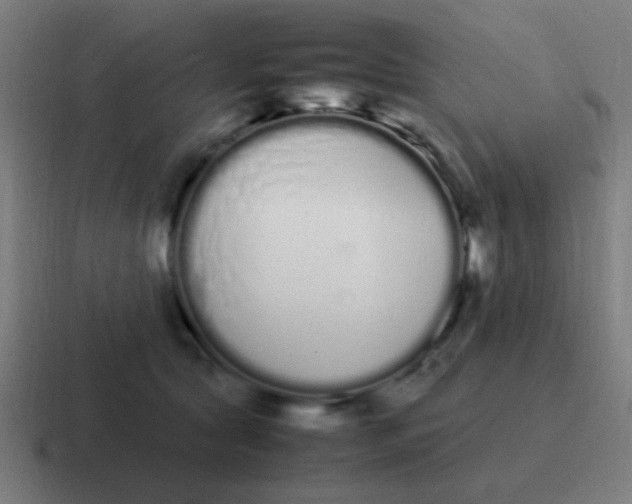 X0000116840561200912312057