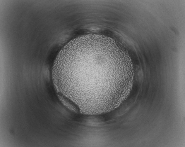 X0000116840562200912312057