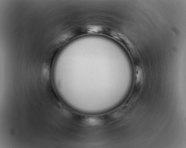 X0000116840565200912312057