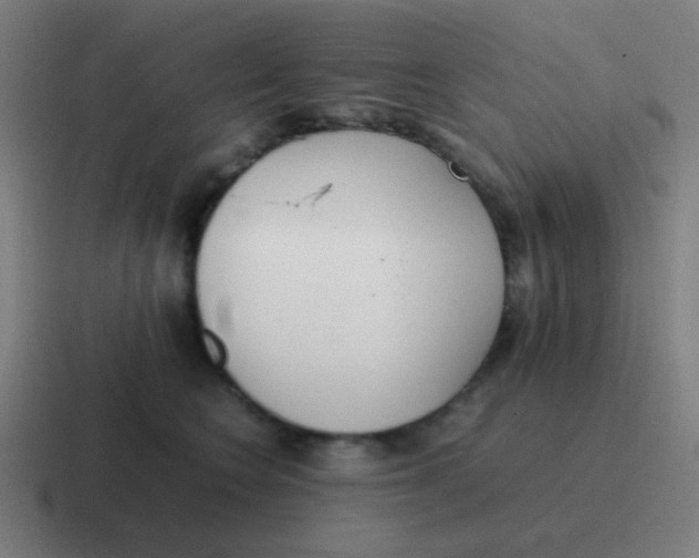 X0000116840566200912312057