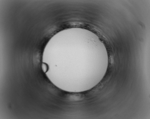 X0000116840567200912312057