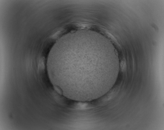 X0000116840570200912312057