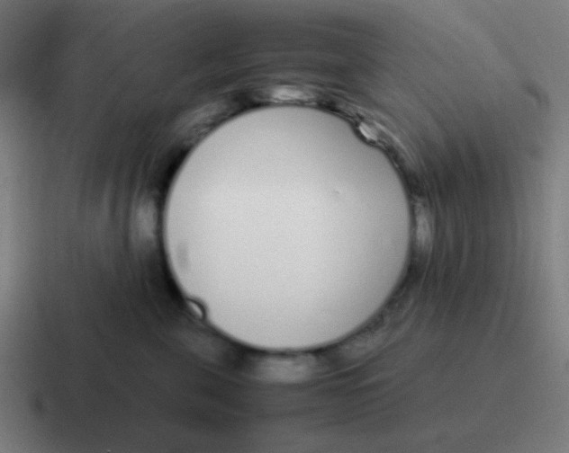 X0000116840571200912312057