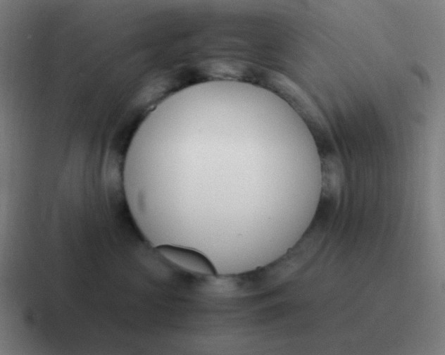 X0000116840573200912312057