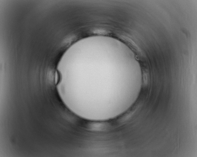 X0000116840575200912312057