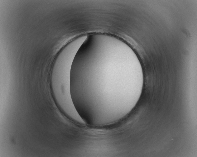 X0000116840577200912312056