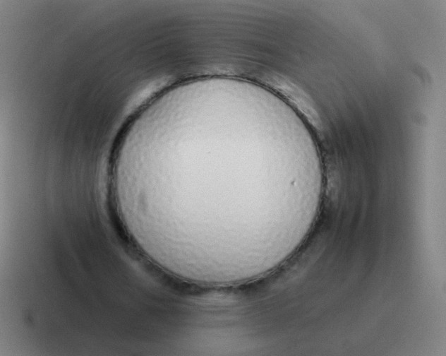 X0000116840578200912312056