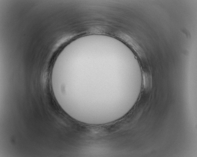 X0000116840579200912312056