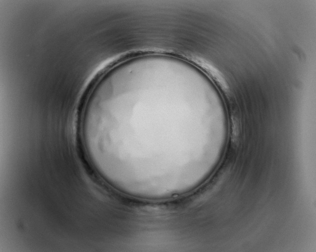 X0000116840580200912312056