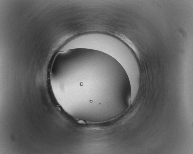 X0000116840581200912312056