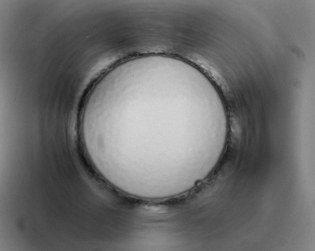 X0000116840582200912312056