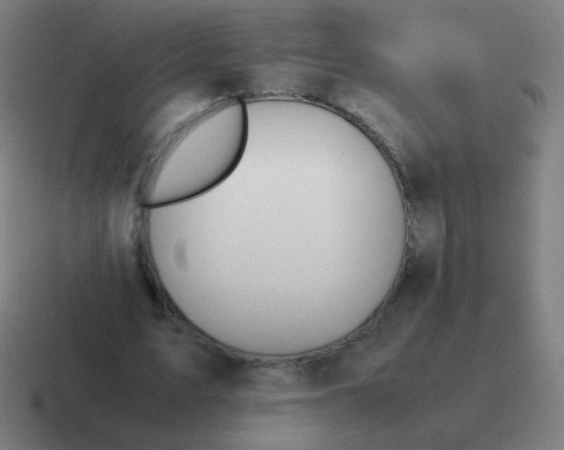 X0000116840583200912312056