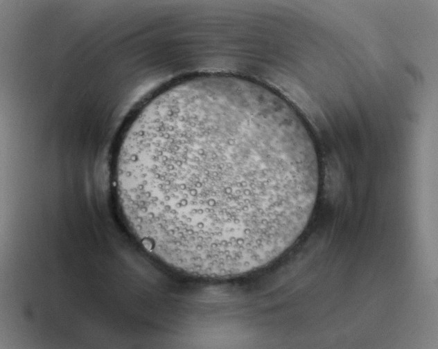 X0000116840584200912312056