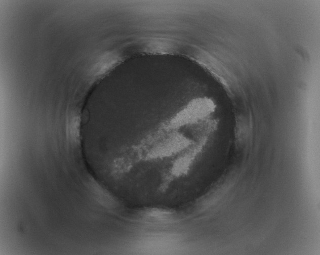 X0000116840585200912312056