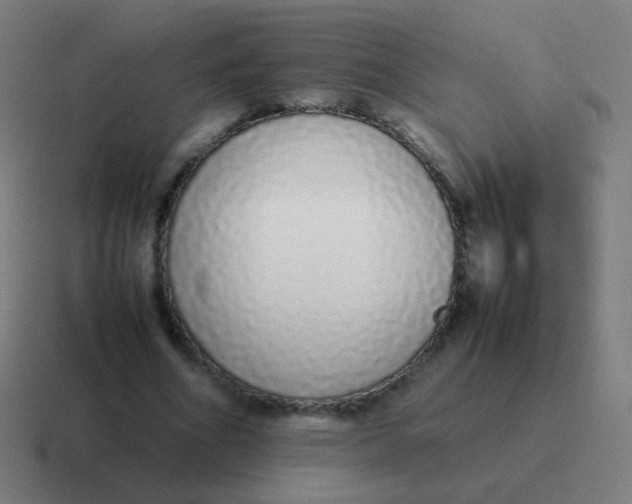 X0000116840586200912312056