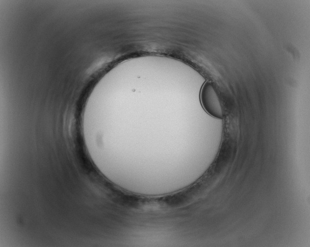 X0000116840587200912312056