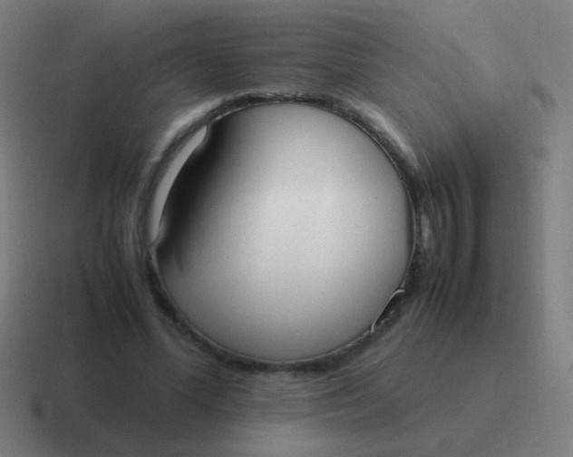 X0000116840588200912312056