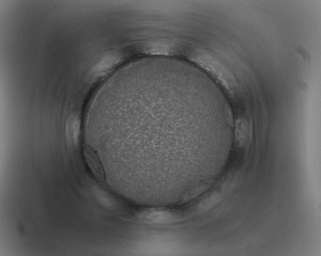 X0000116840589200912312056