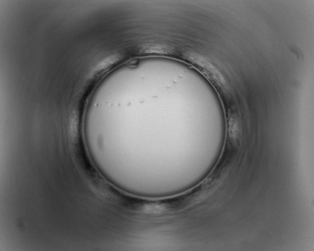 X0000116840591200912312056