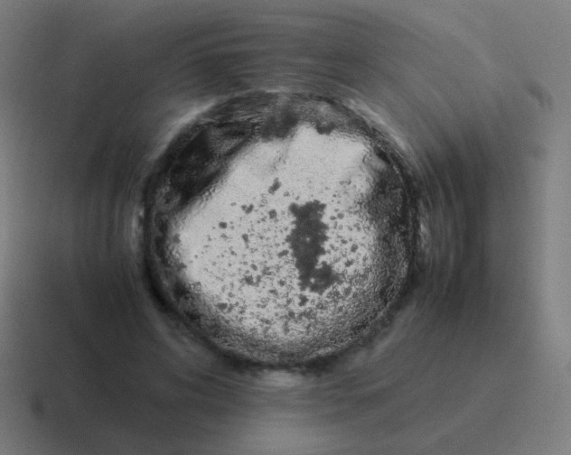 X0000116840592200912312056