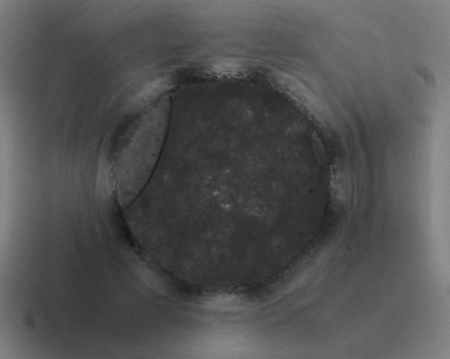 X0000116840593200912312056