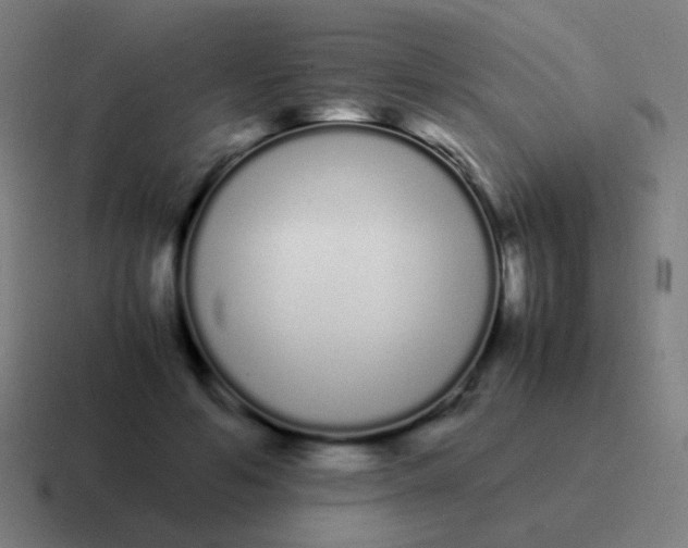 X0000116840594200912312056