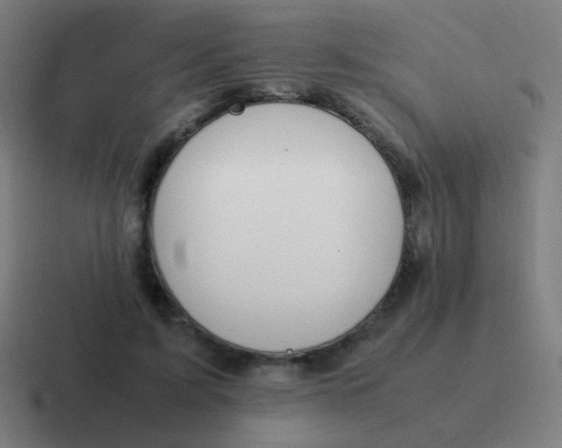 X0000116840595200912312056