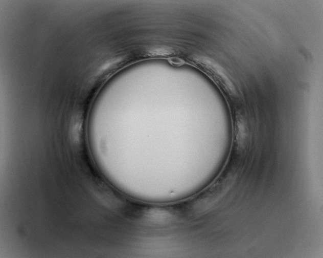 X0000116840596200912312056