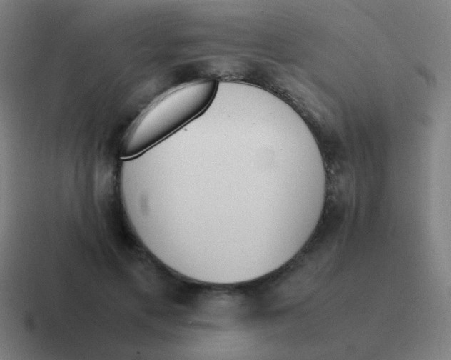 X0000116840597200912312056